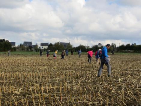 photo - recherche dans le champ d'artefacts