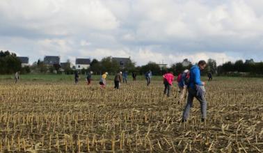 photo - recherche dans le champ d'artefacts