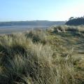 Dunes de Bonabry