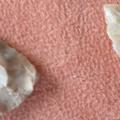 Pointes et flèches en silex